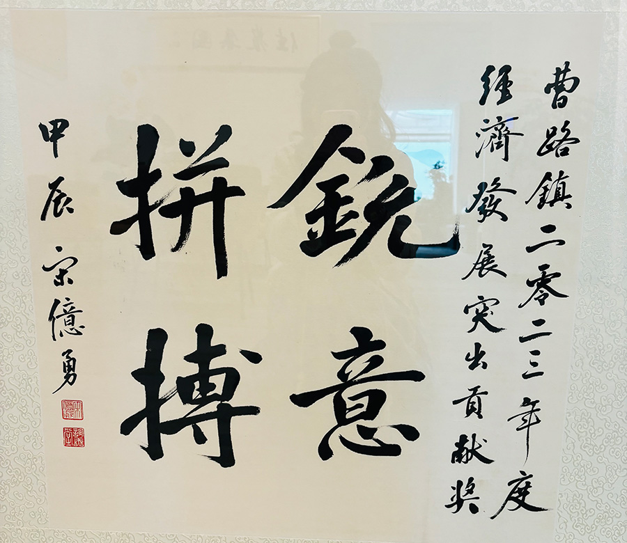 經(jīng)濟(jì)發(fā)展突出貢獻(xiàn)獎(jiǎng)畫(huà)xiu.jpg